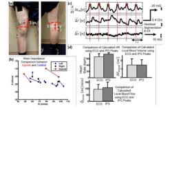 Measuring Joint Sounds in Sports