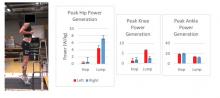 Biomechanical Symmetry Assessment - Project Lammers